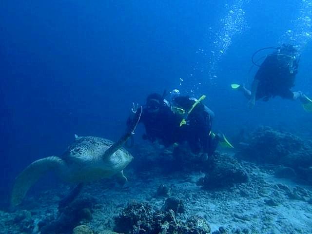 海口街道开展“法治宣传迎新春”普法宣传活动